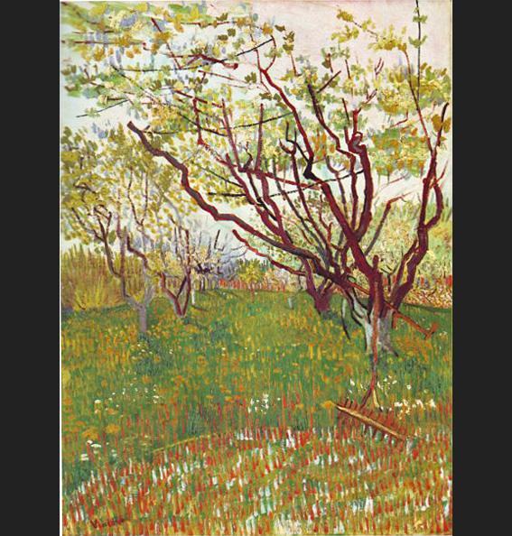 Vincent Van Gogh Canvas Paintings page 4